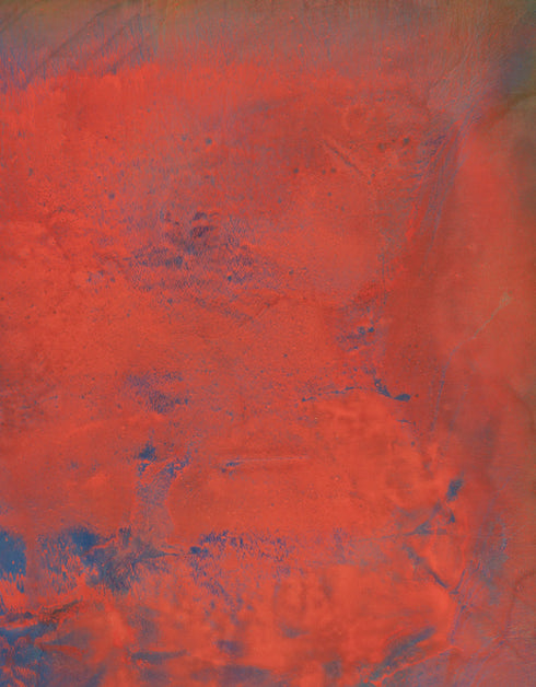 Opus | Framed Giclee Print on Canvas